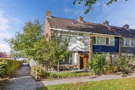 undefined main image