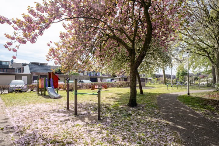 Foto 35 van Rooi Hartenpark 2