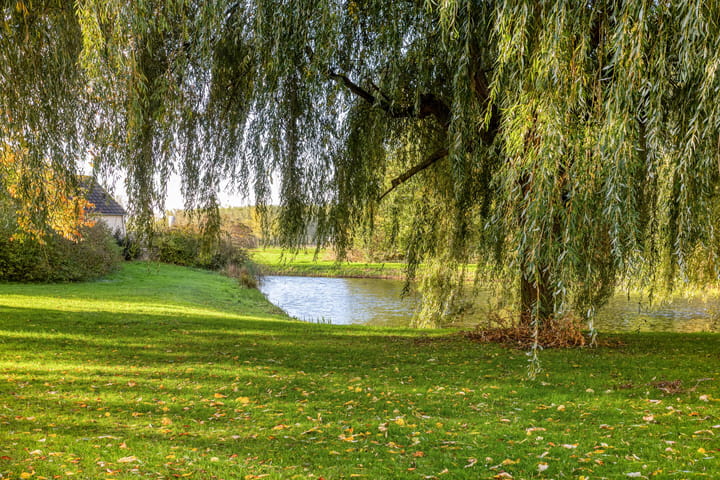 Photo 76 of Kraanvogellaan 57