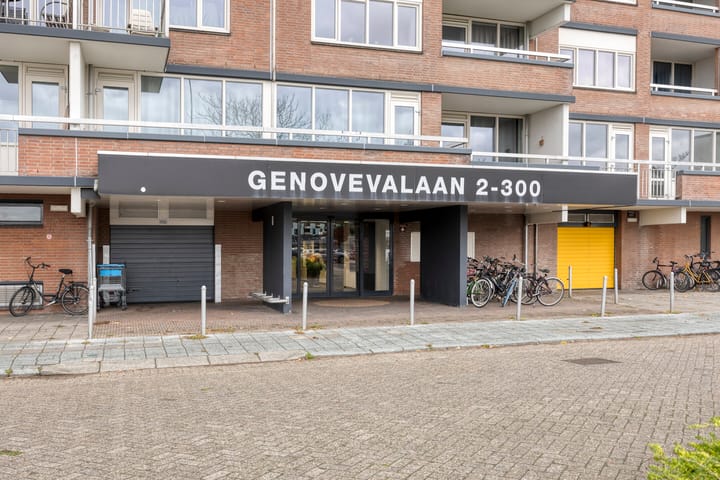 Foto 8 van Genovevalaan 290