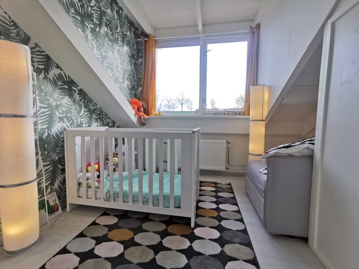 Foto 13 van Meerum Terwogtlaan 175