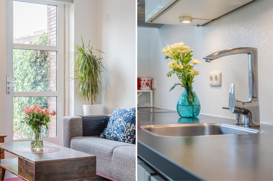 Photo 8 of Boreasplantsoen 83