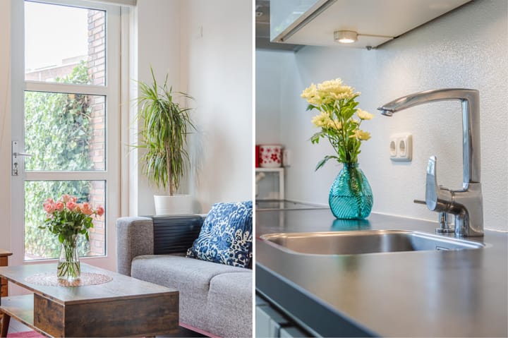 Photo 8 of Boreasplantsoen 83