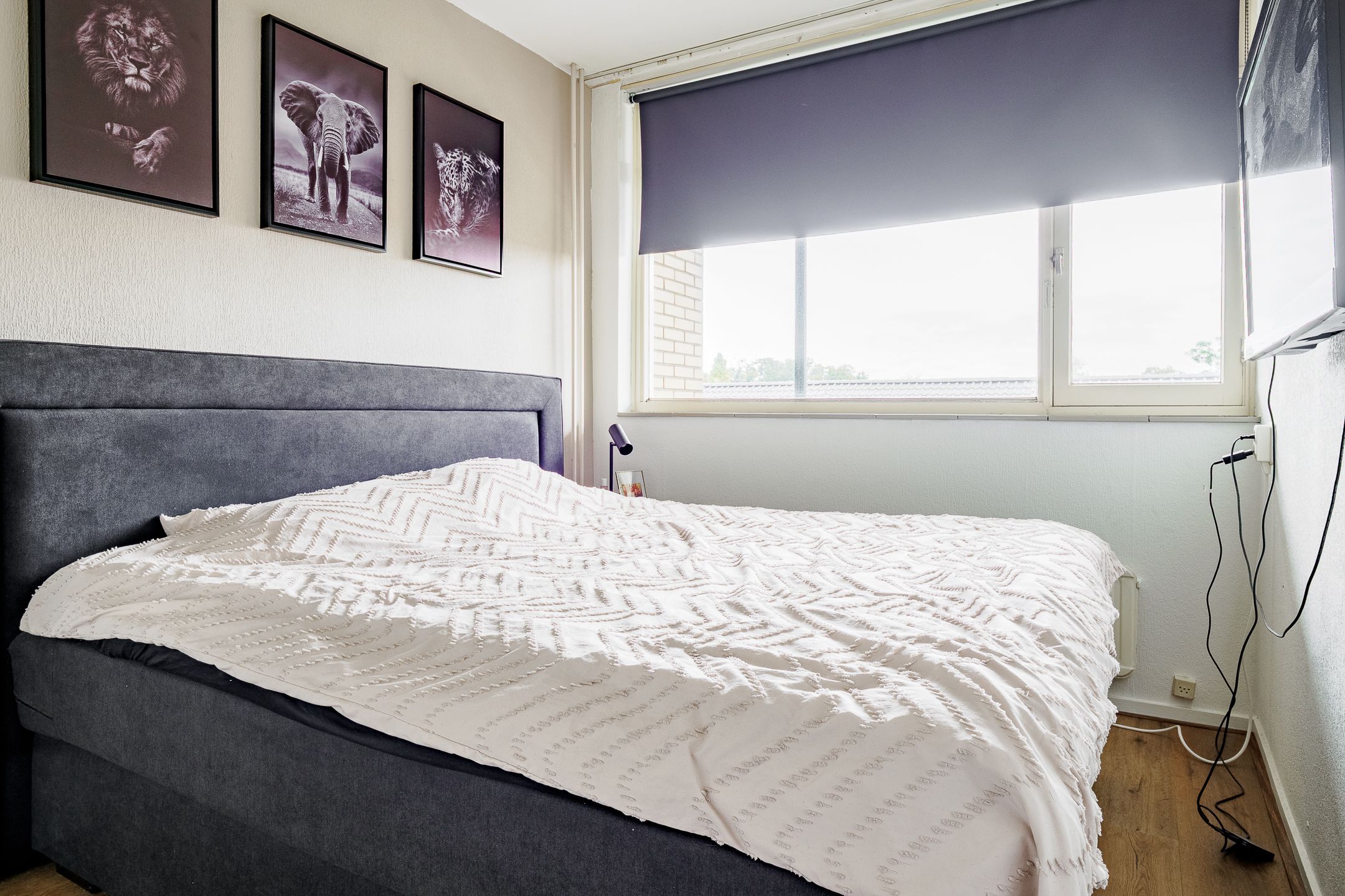 Photo 12 of Herculesstraat 86