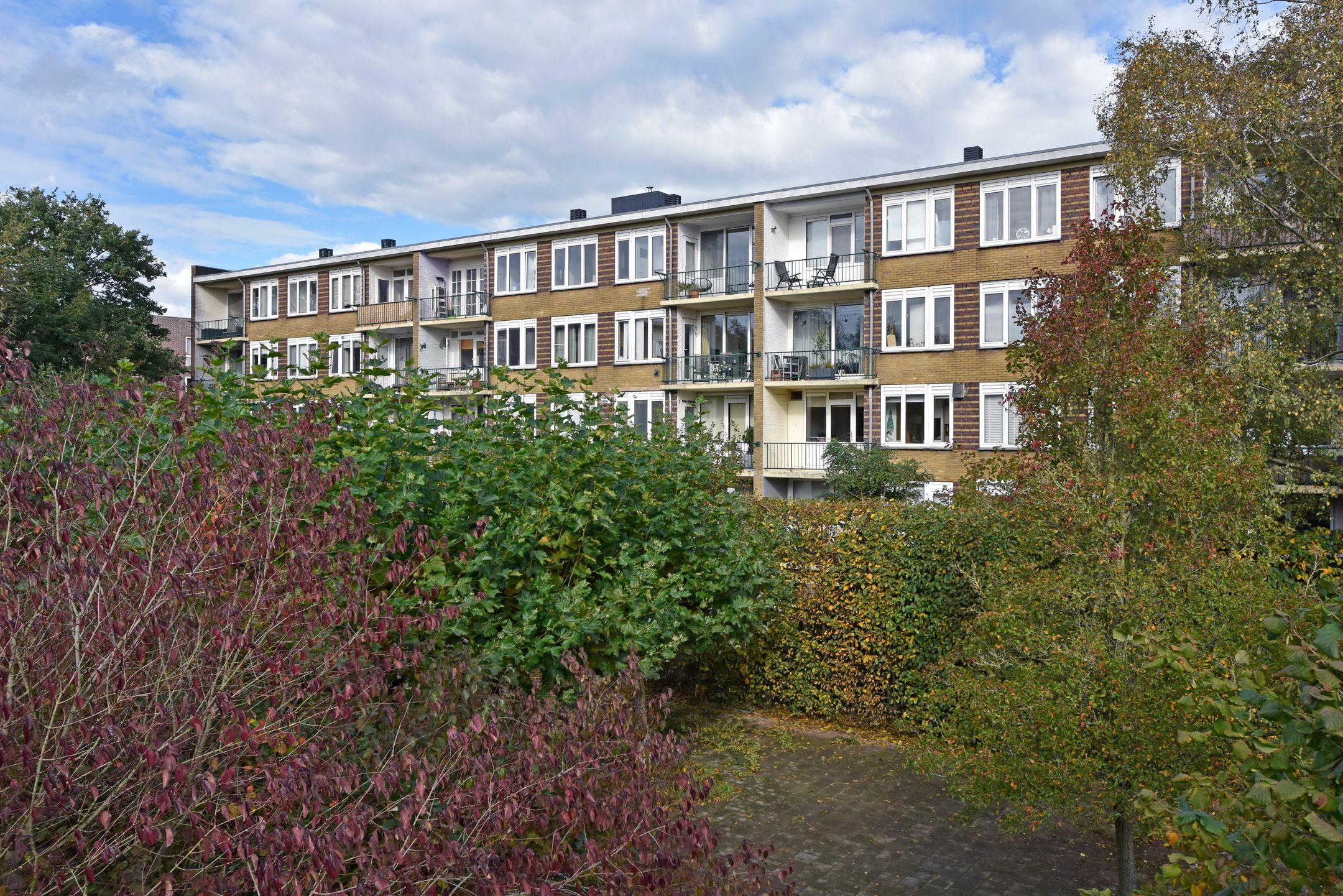 Photo 21 of Sportparklaan 191