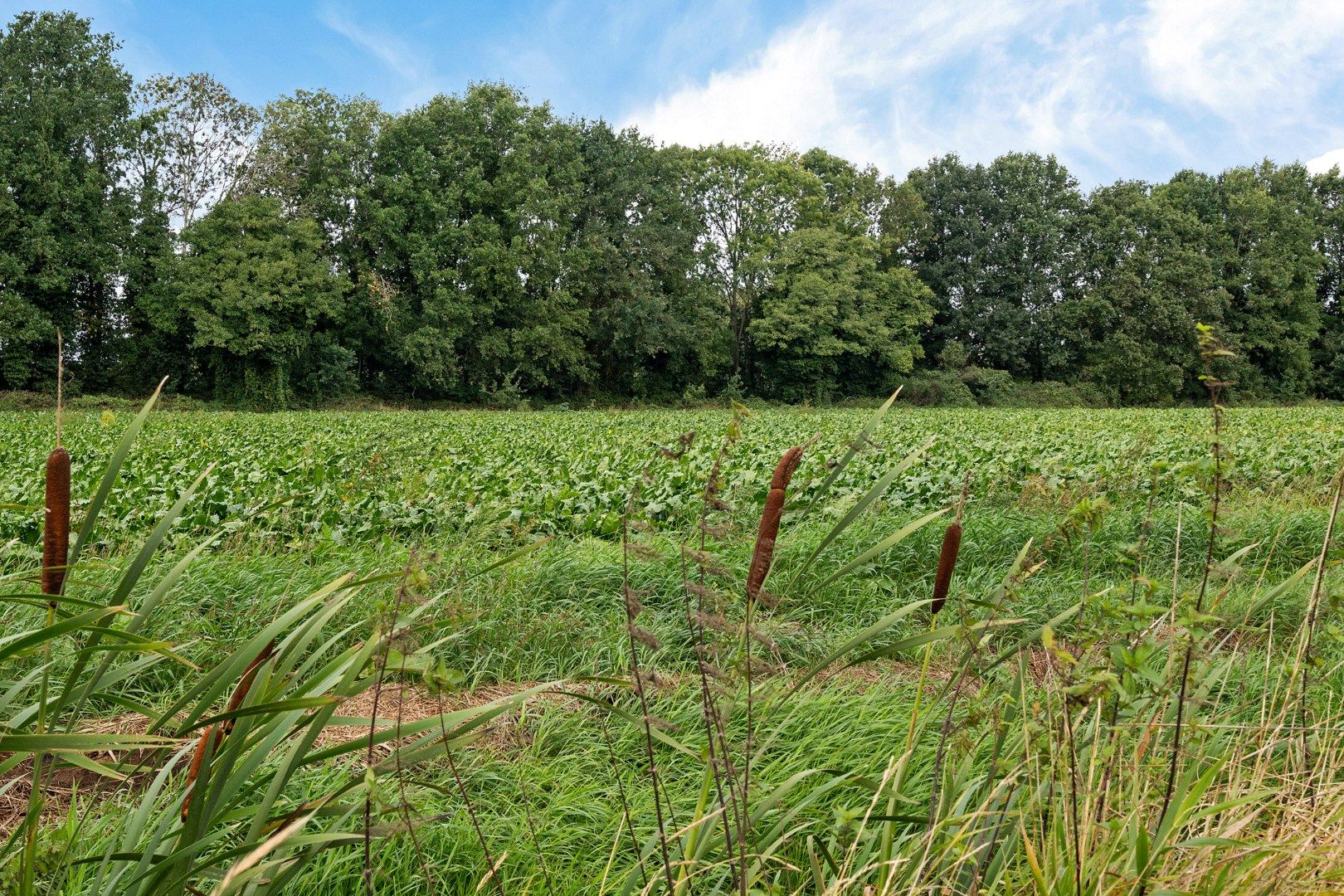 Foto 33 van Dorigweg 32