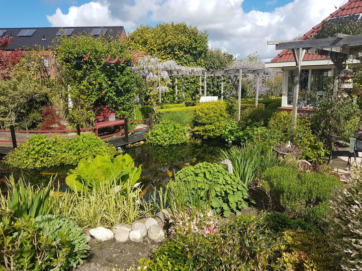 Foto 41 van Hazzelnútstrjitte 15