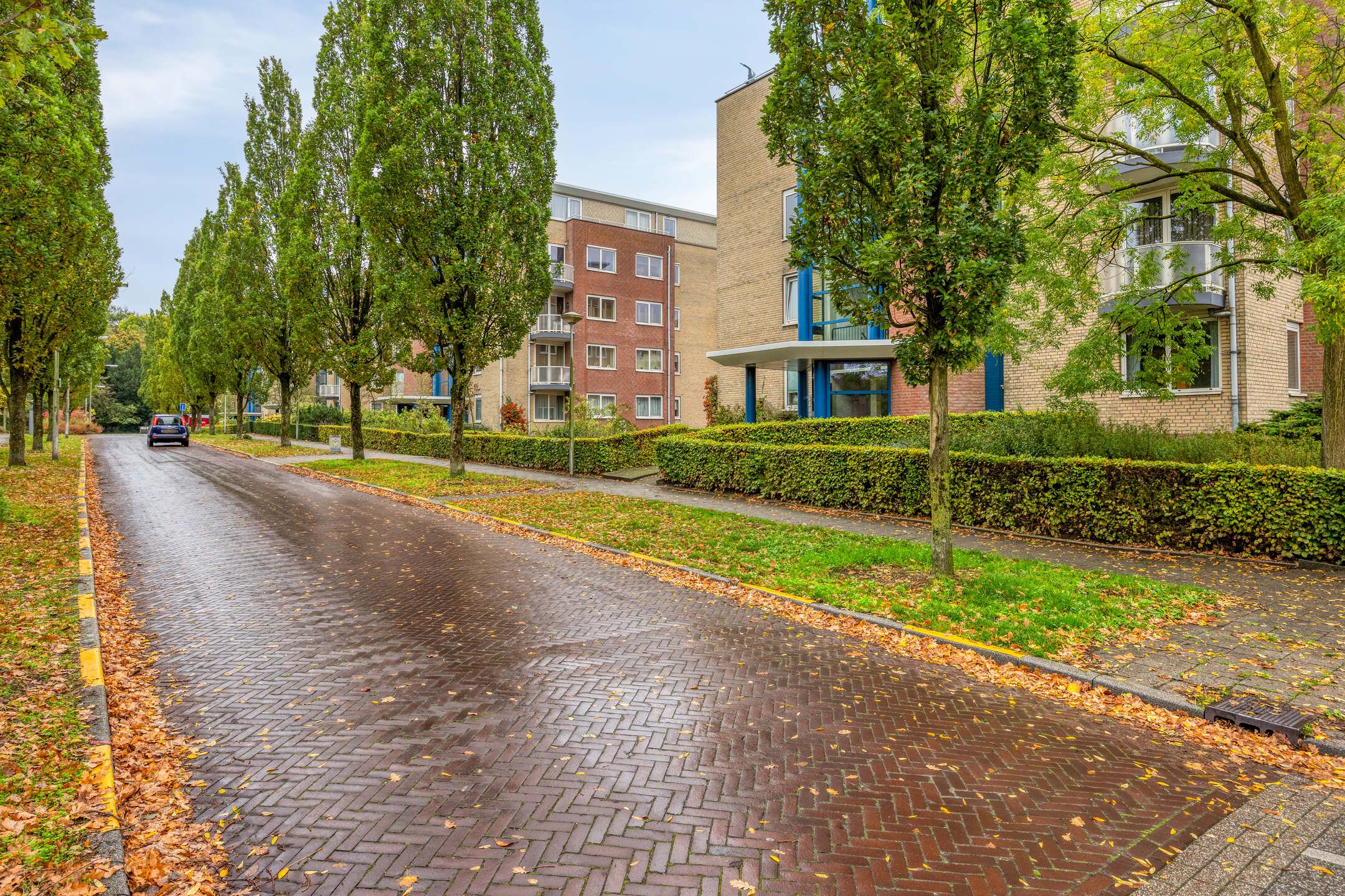 Foto 39 van Pater Leijdekkersstraat 4