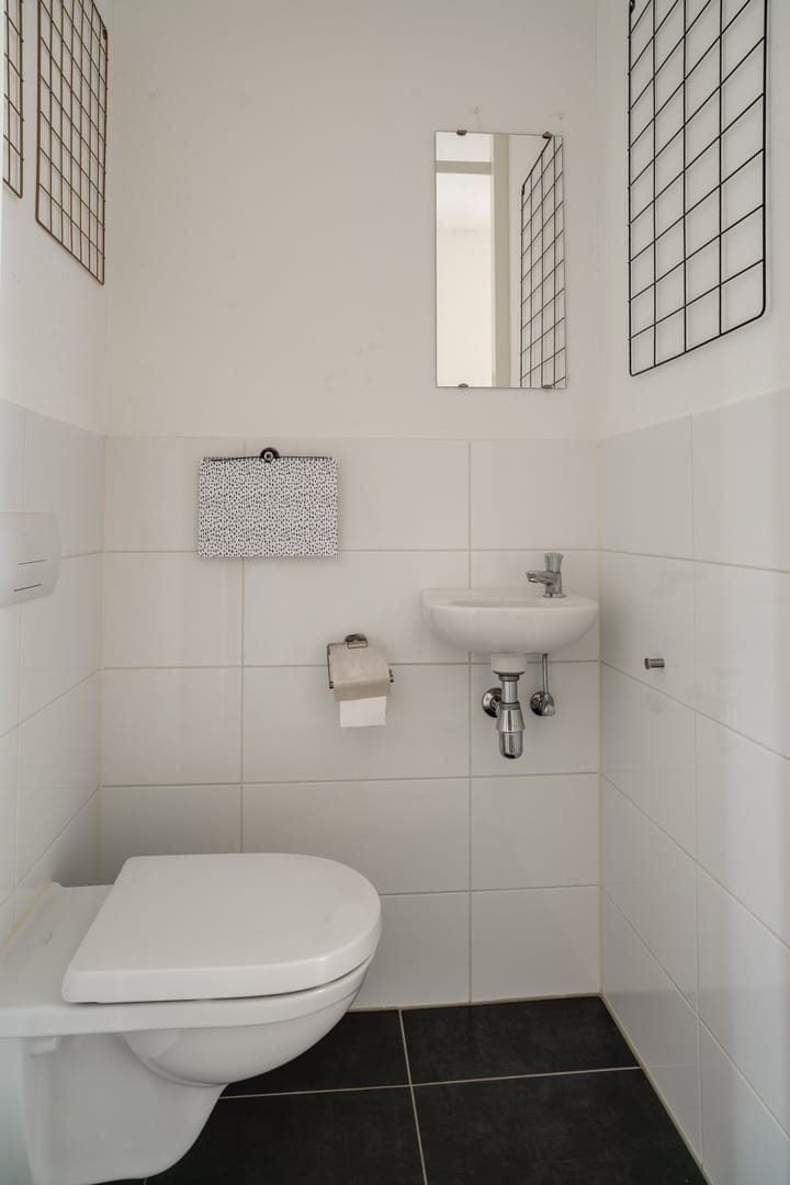 Photo 11 of Tuinpad 22