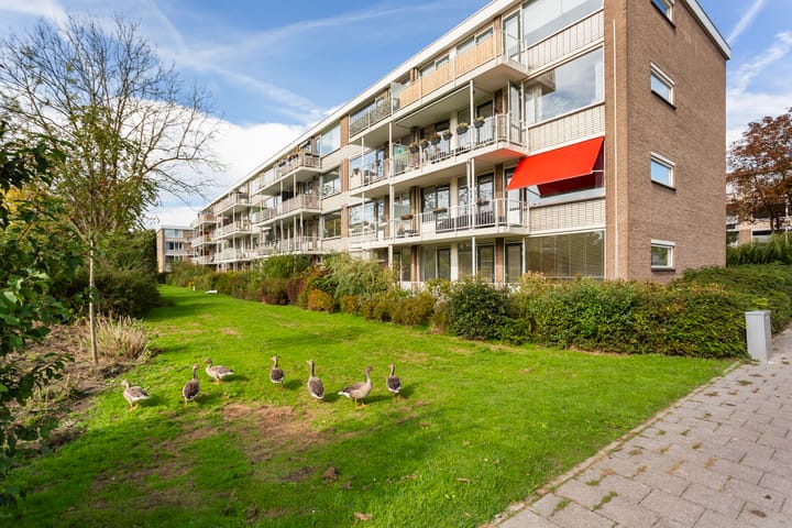 Foto 17 van Keldermansstraat 30