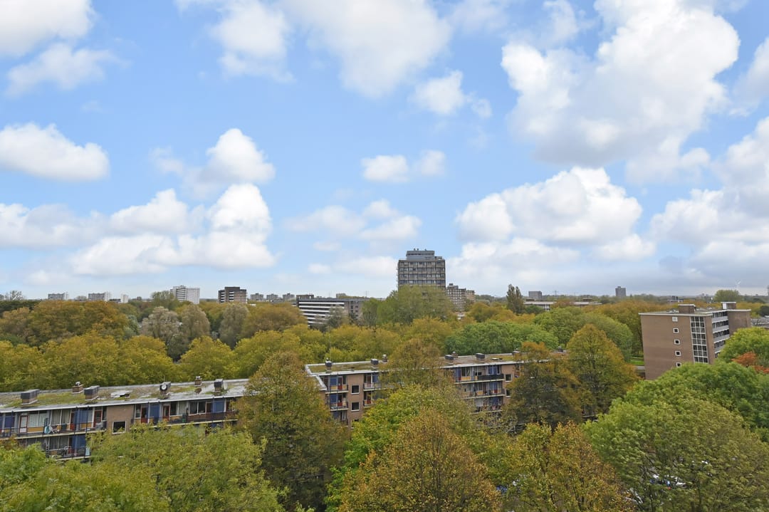 Photo 16 of Roggekamp 383