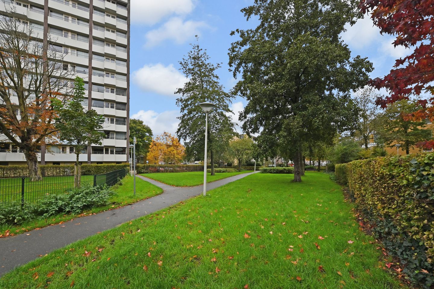 Photo 25 of Roggekamp 383