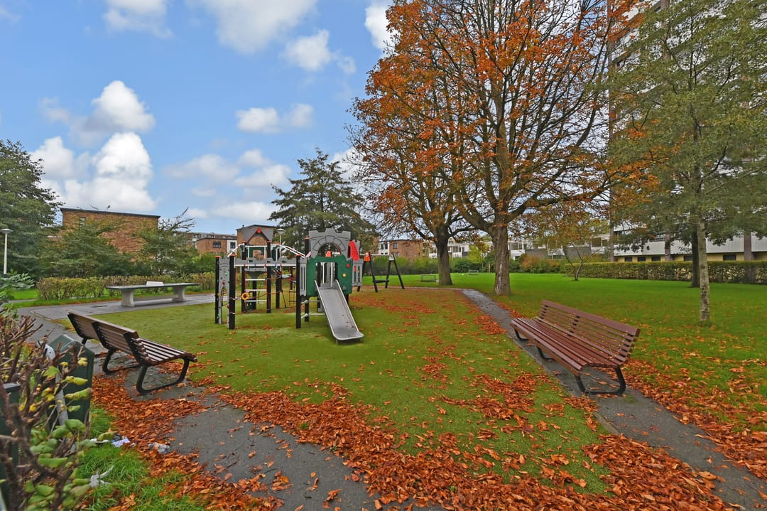 Photo 26 of Roggekamp 383