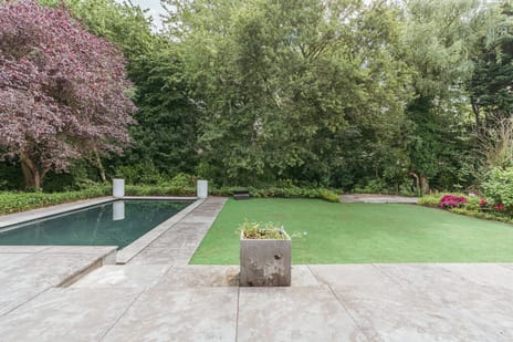 In de Wolken 250 secondary image