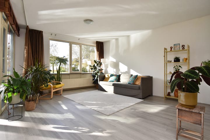 Photo 8 of Drogerij 13