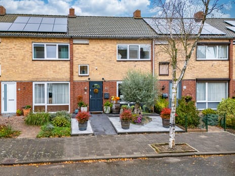 Flamingostraat thumbnail