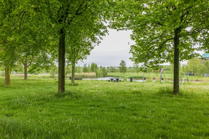 Photo 63 of Louis Hartzstraat 16