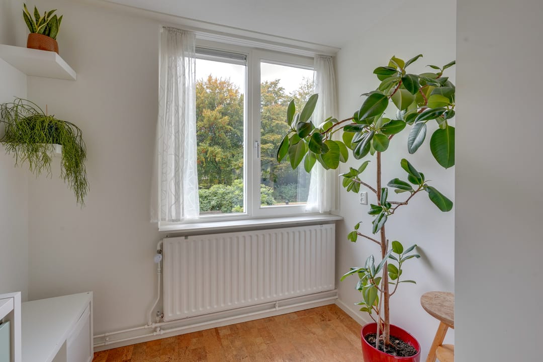 Foto 41 van Zwolseveste 1