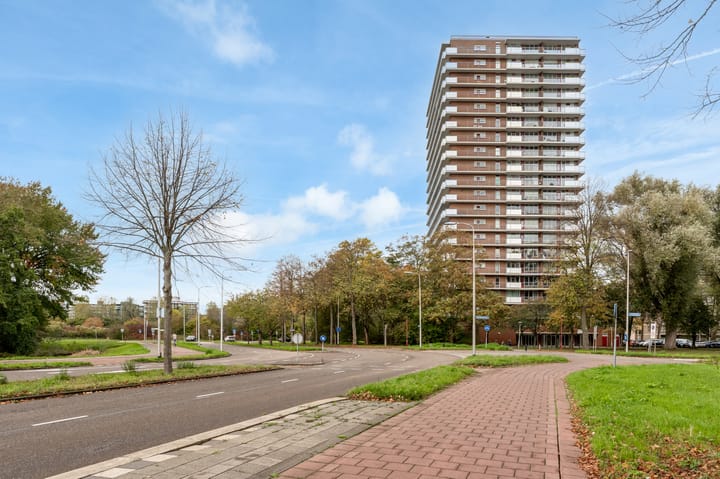 Foto 19 van Dunantstraat 1223