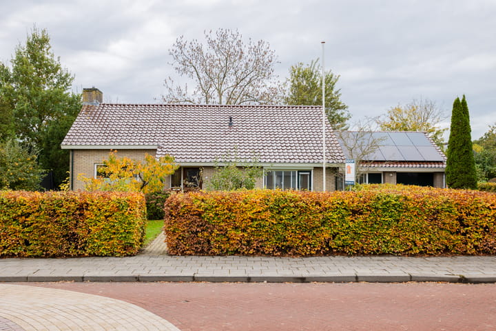 Foto 5 van Groene Zoom 2