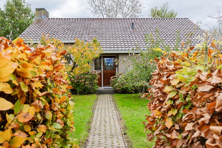 Photo 6 of Groene Zoom 2