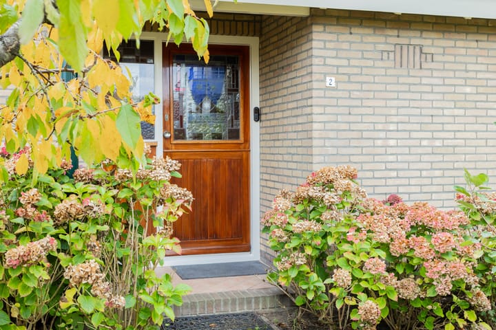 Photo 7 of Groene Zoom 2