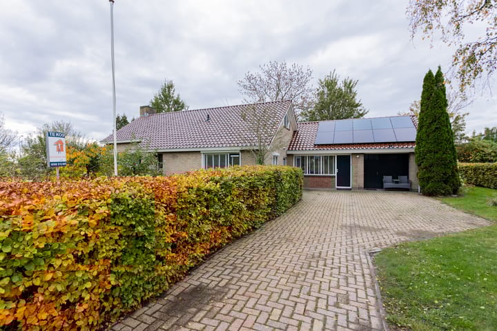 Photo 42 of Groene Zoom 2