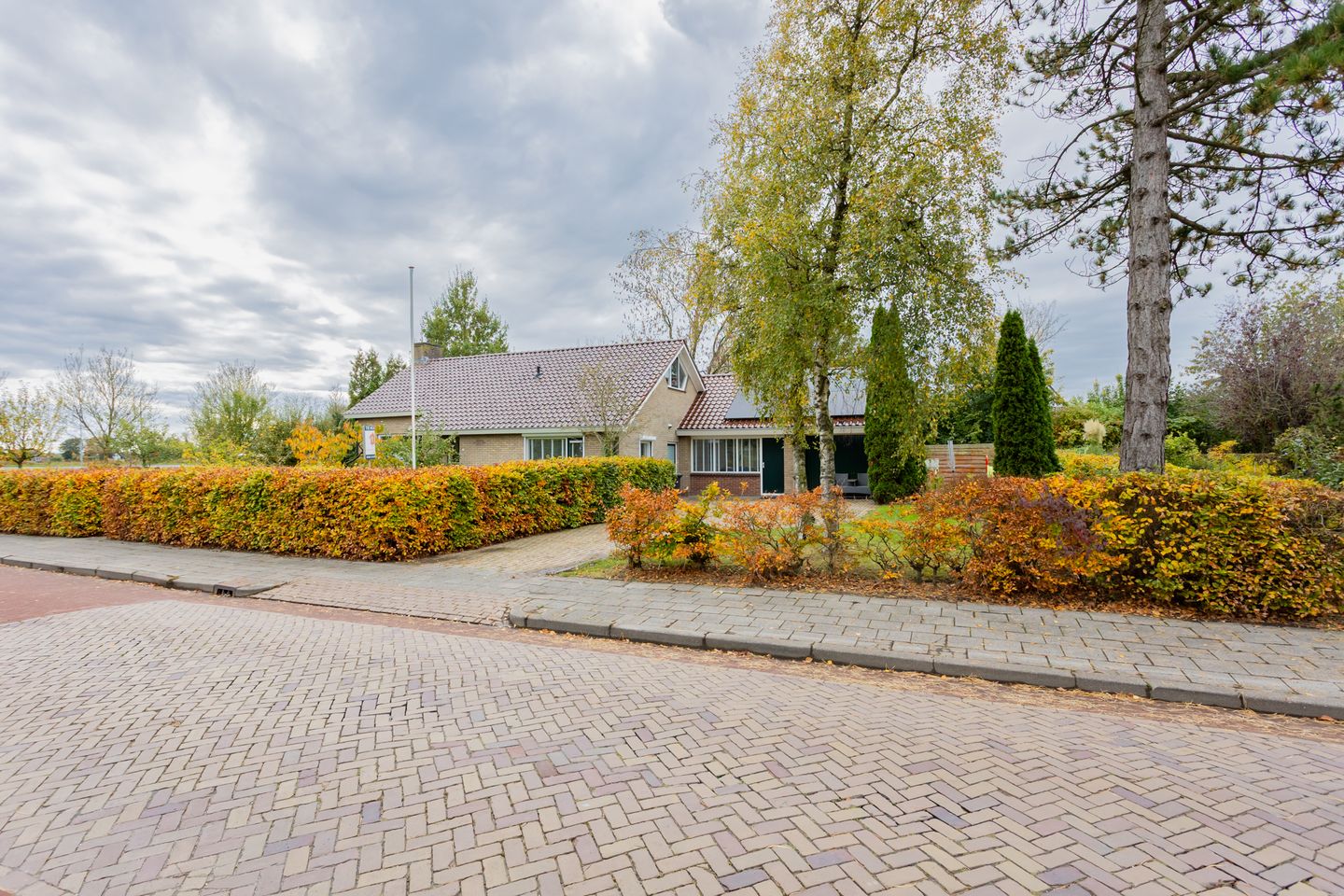 Foto 44 van Groene Zoom 2