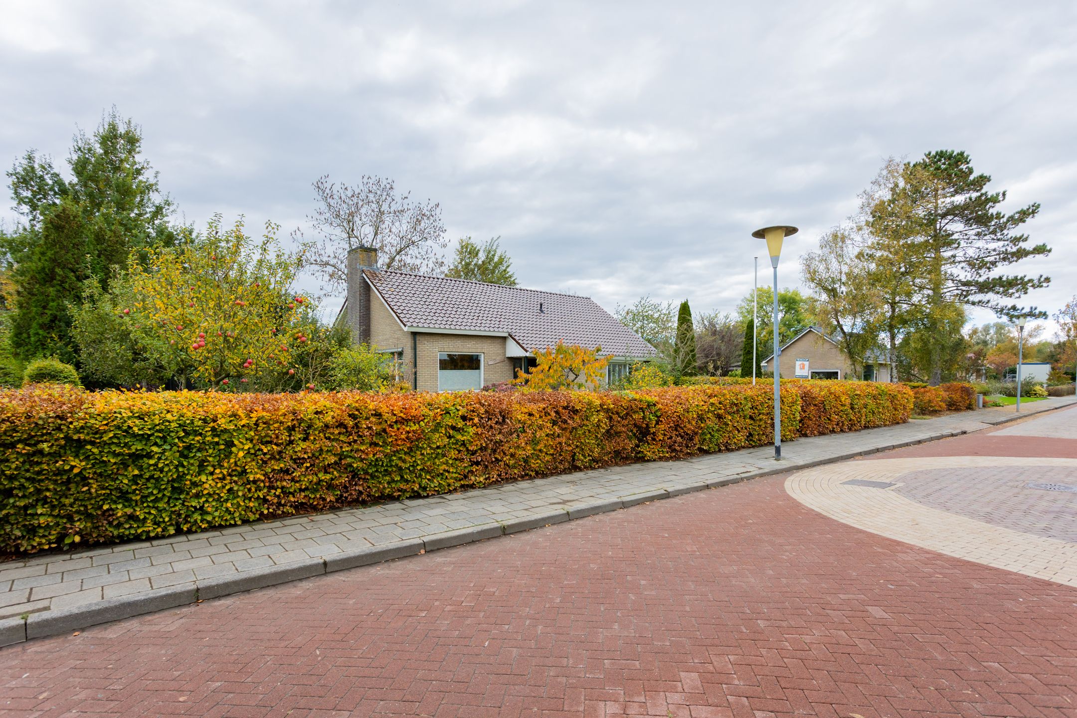 Foto 45 van Groene Zoom 2