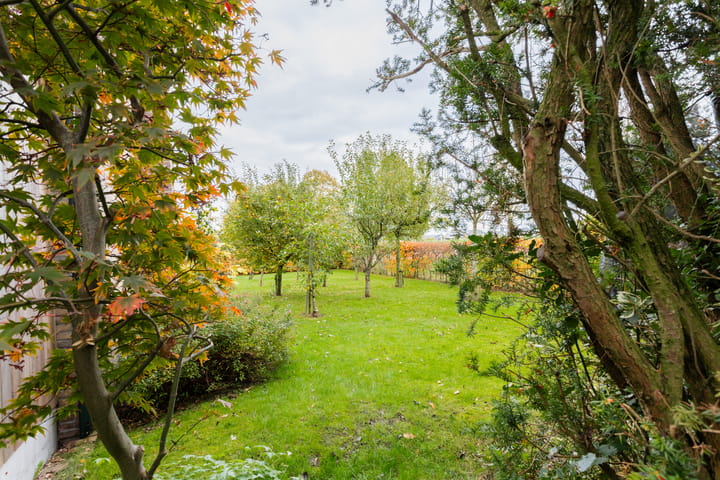 Photo 47 of Groene Zoom 2