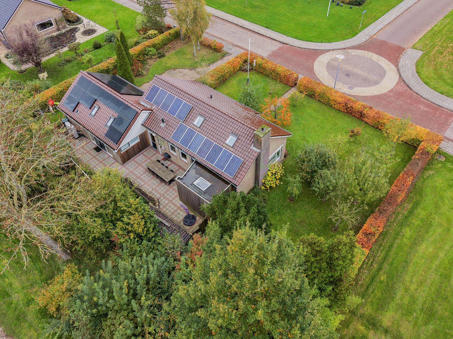 Foto 50 van Groene Zoom 2