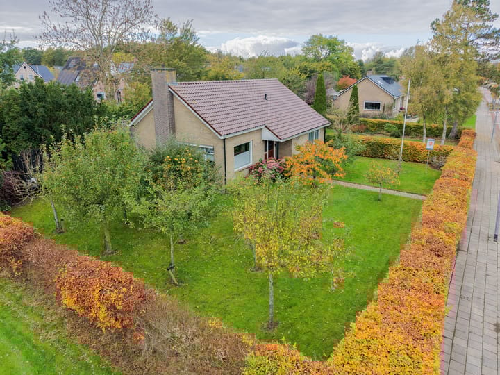 Photo 51 of Groene Zoom 2