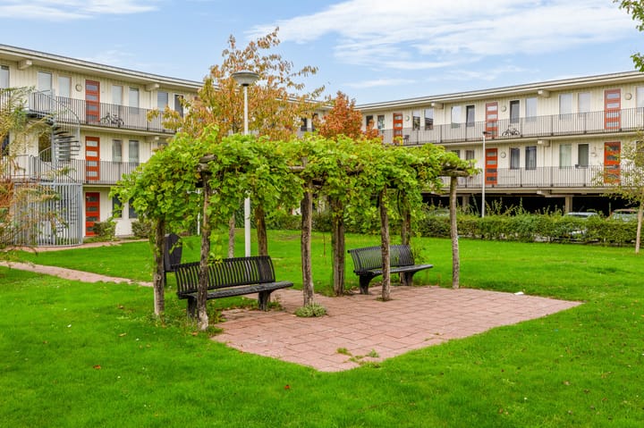 Foto 35 van Violierstraat 24-D