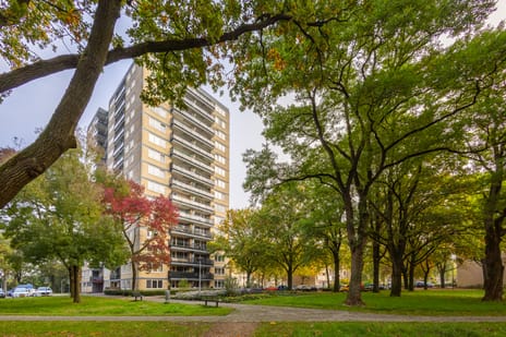 Vanekerstraat thumbnail