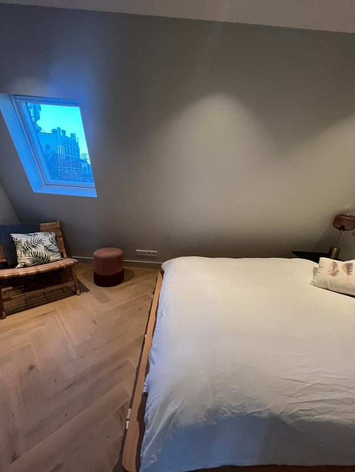 Foto 19 van Koninginneweg 65-4