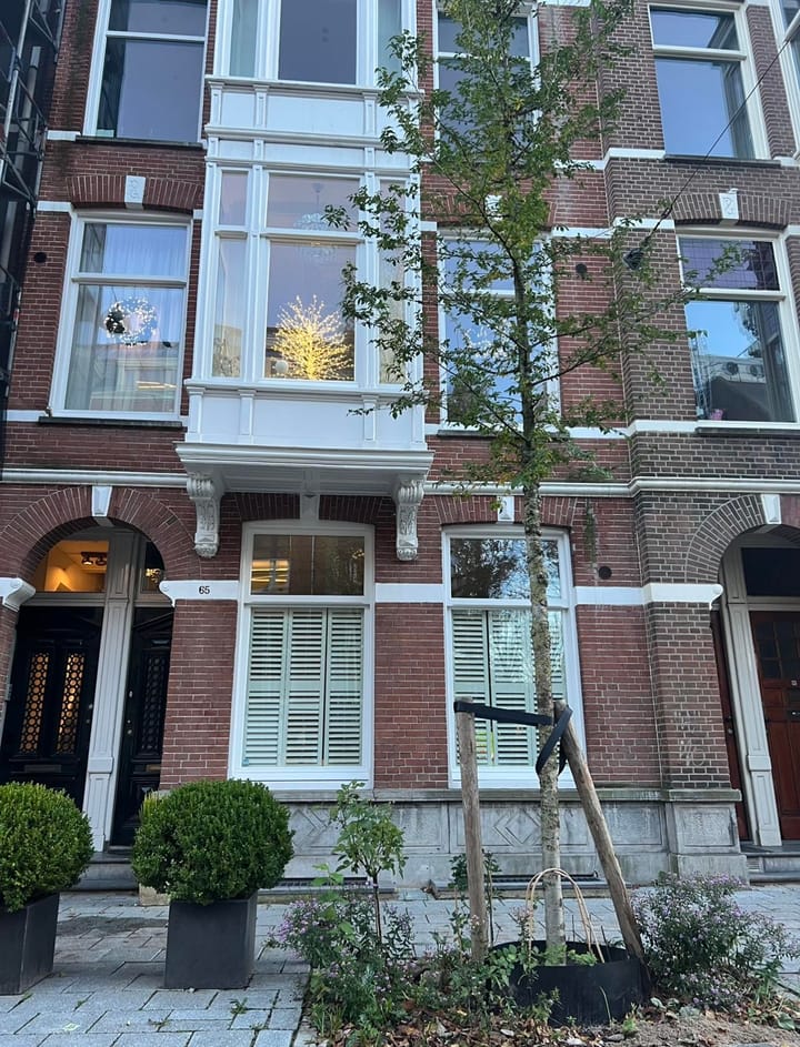 Foto 2 van Koninginneweg 65-4