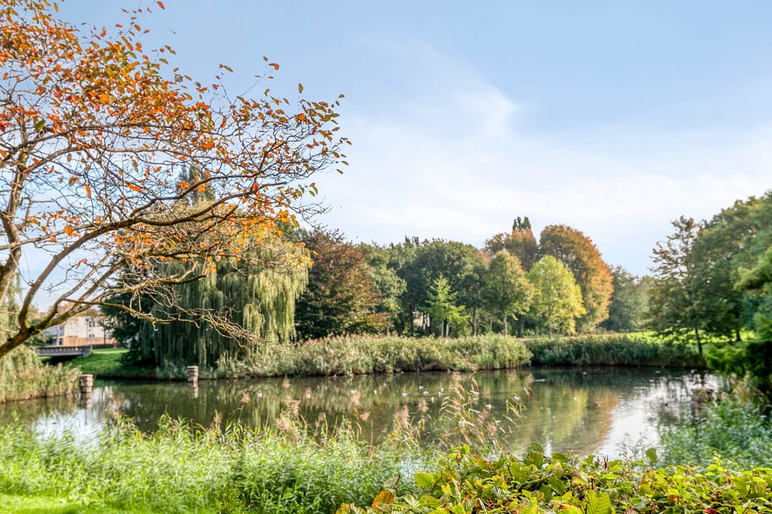 Foto 37 van Louis Davidsstraat 128