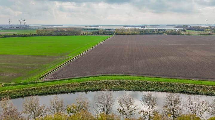 Foto 31 van Washingtonstraat 16