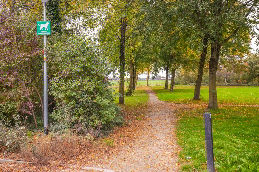 Foto 7 van De Gasperistraat 6