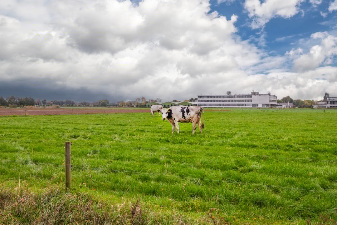 Foto 8 van De Gasperistraat 6