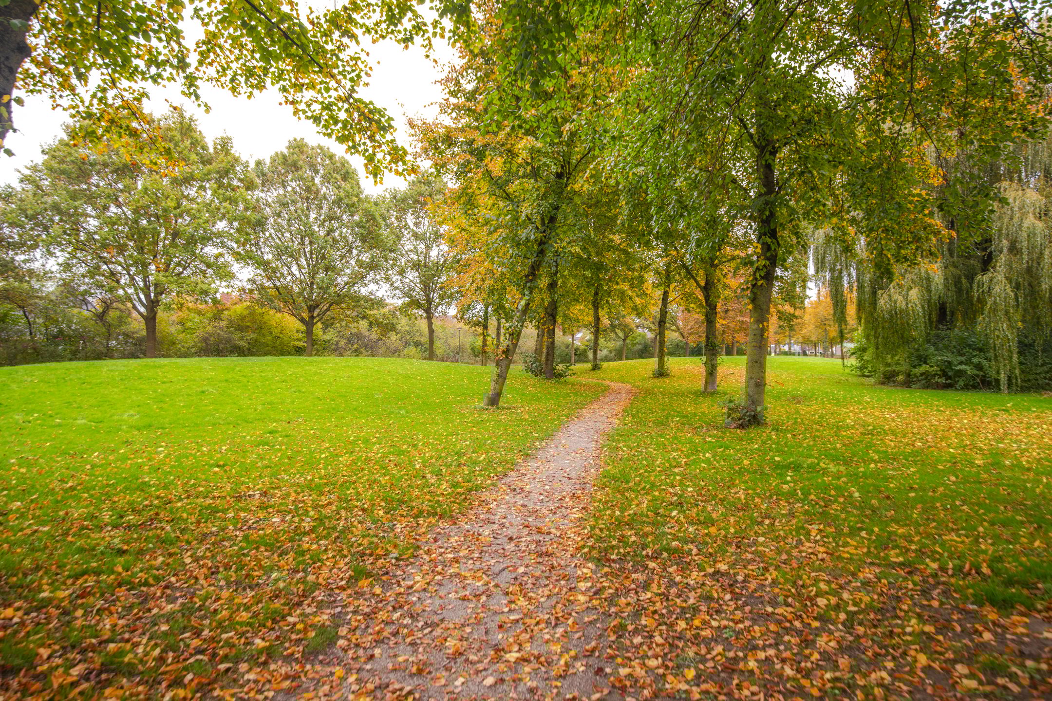 Foto 9 van De Gasperistraat 6