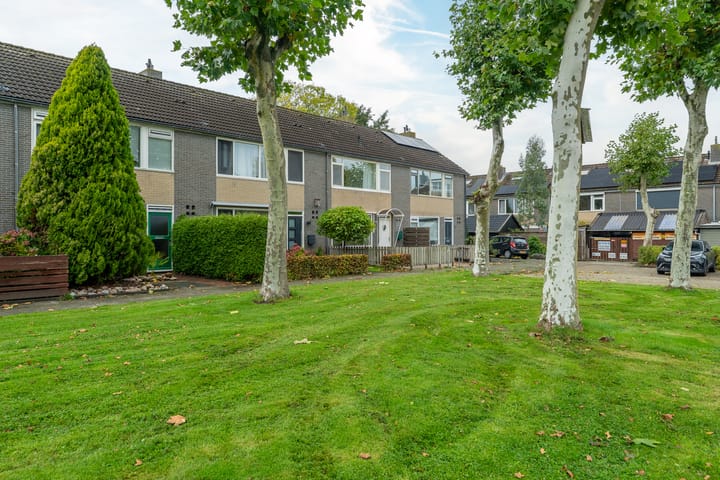 Photo 37 of de Paden 11