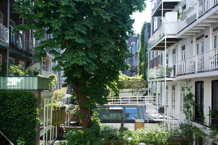 Photo 27 of Nassaukade 353-H