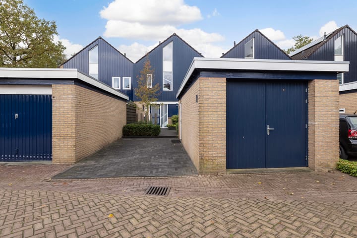 Herman van der Haarstr 65