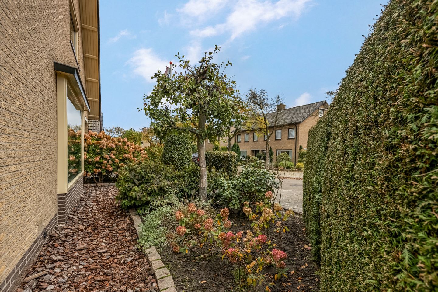 Foto 10 van Rienderstein 11