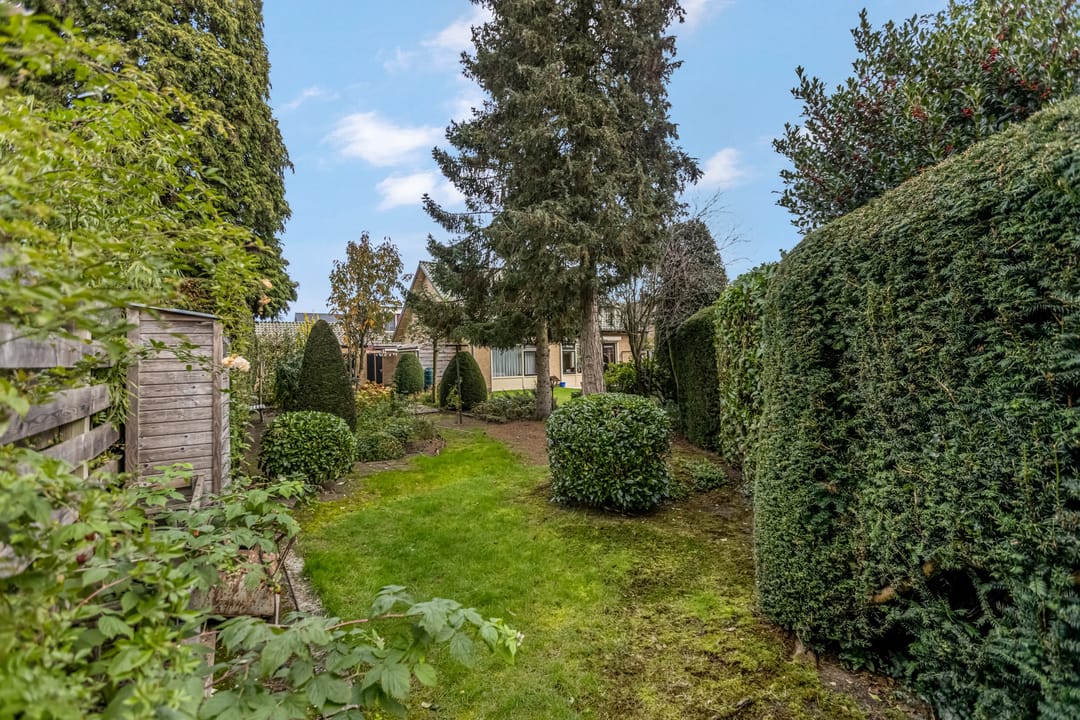 Foto 47 van Rienderstein 11