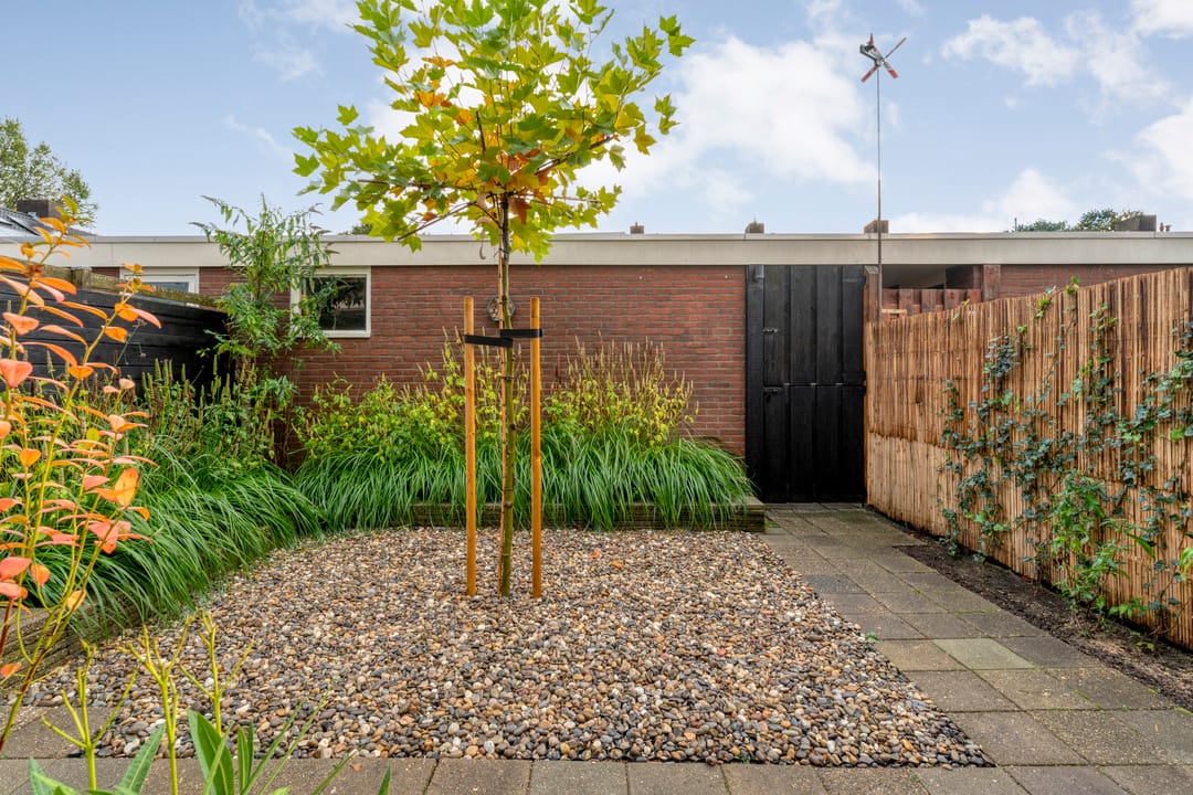 Foto 43 van Esdoornlaan 22