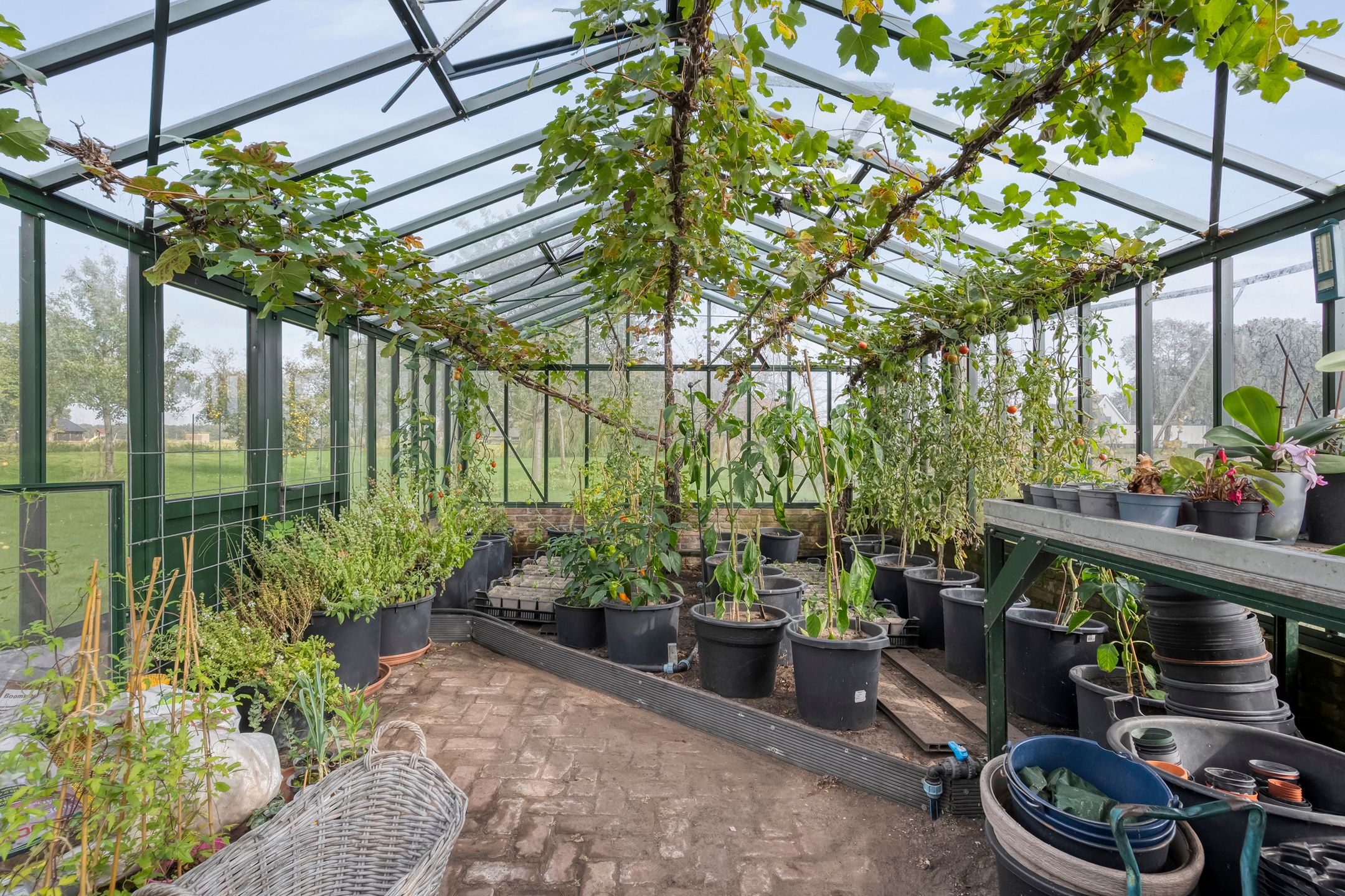 Foto 51 van Vastenow 154