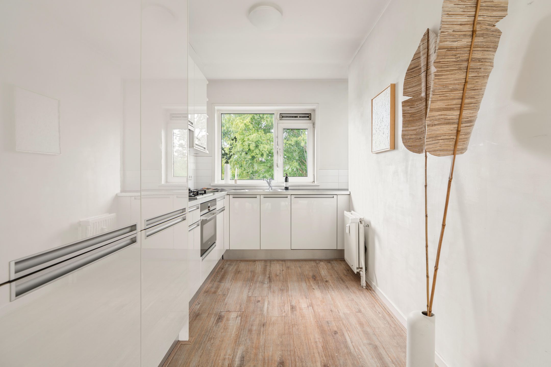 Foto 12 van Oostelijk Halfrond 151