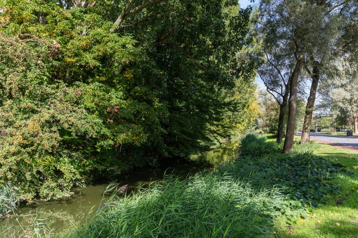 Foto 29 van Oostelijk Halfrond 151